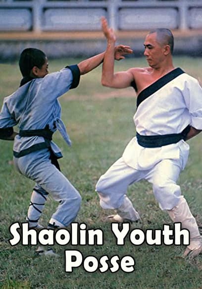 Shaolin Youth Posse