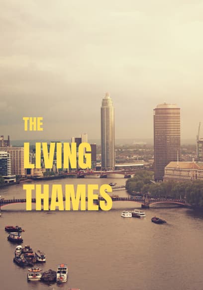 The Living Thames