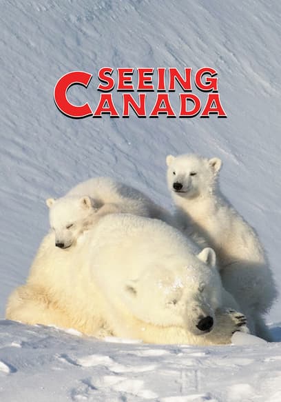 Watch Seeing Canada S02:E01 - Inuit Culture in Nunav - Free TV Shows | Tubi
