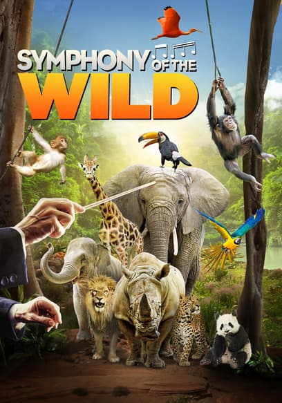 Symphony of the Wild