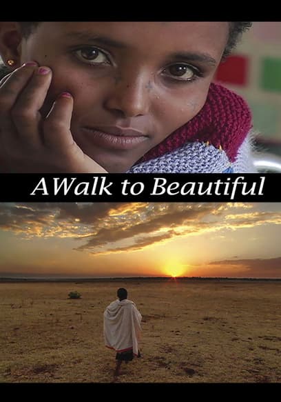 A Walk to Beautiful
