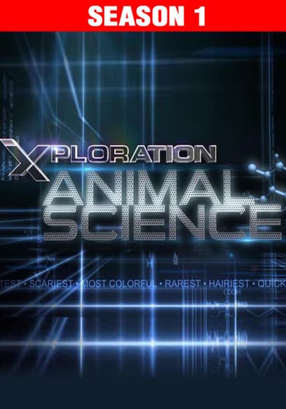 S01:E06 - Extreme Animals