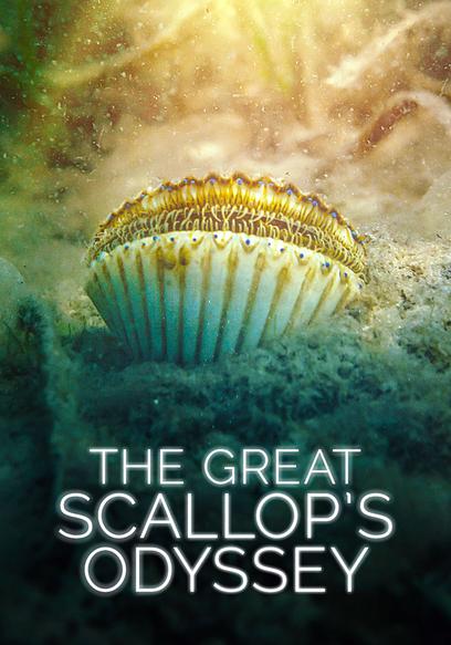 The Great Scallop's Odyssey