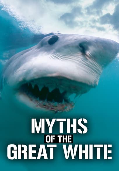 Myths of the Great White