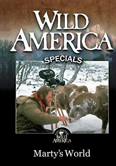 Wild America: Marty's World