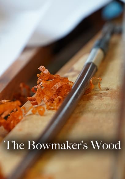 The Bowmaker's Wood
