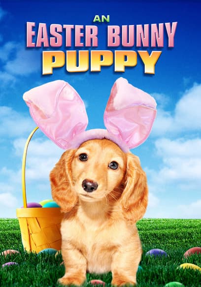 An Easter Bunny Puppy