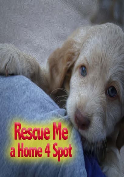 Rescue Me: A Home 4 Spot