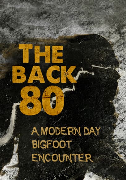 The Back 80: A Modern Day Bigfoot Encounter