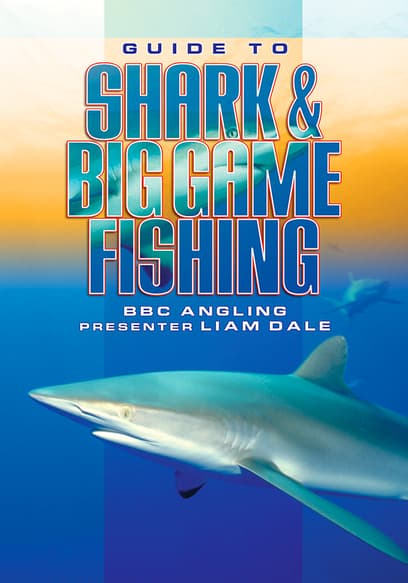 Guide to Shark & Big Game Fishing