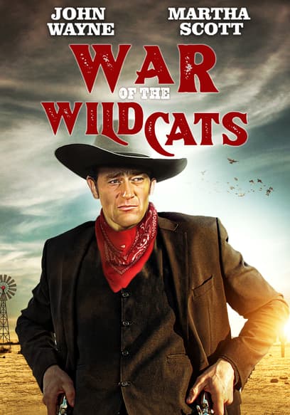 War of the Wildcats