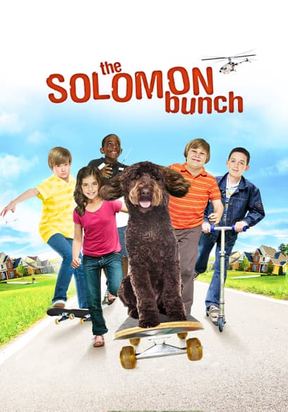 The Solomon Bunch