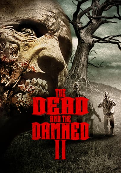 The Dead and the Damned 2