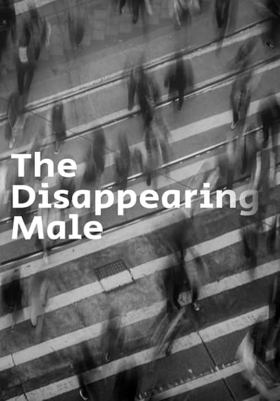 The Disappearing Male