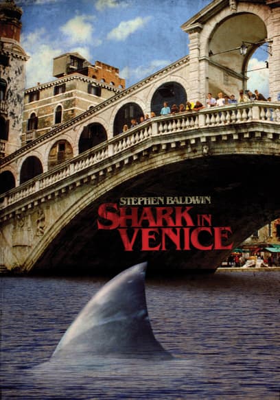 Shark in Venice