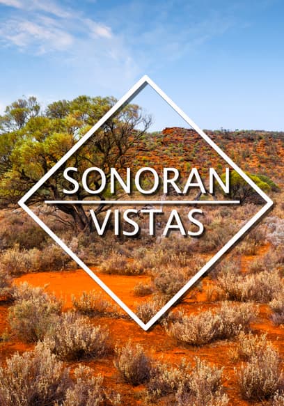 Sonoran Vistas