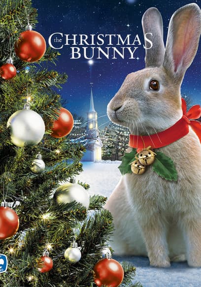 The Christmas Bunny