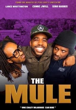 Watch the best sale mule full movie