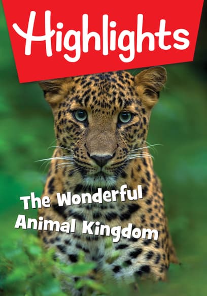 Highlights: The Wonderful Animal Kingdom
