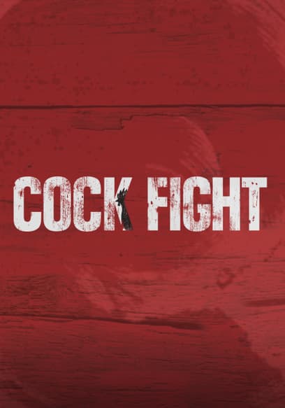 Cock Fight: One Man's Battle Against the Chicken Industry