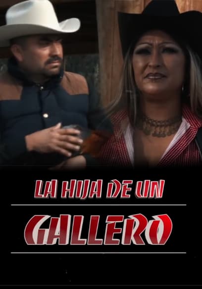 La Hija De Un Gallero