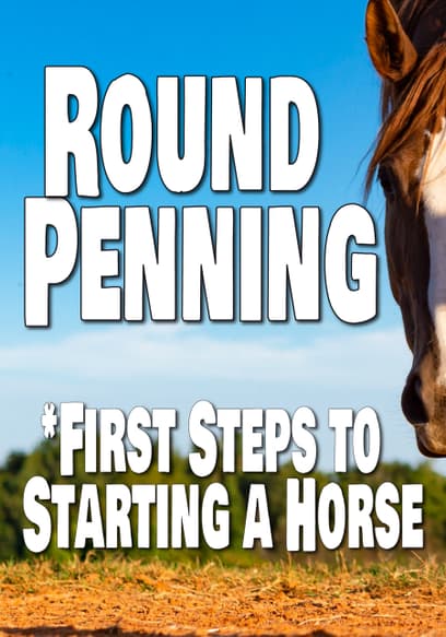 Round Penning: First Steps to Starting a Horse