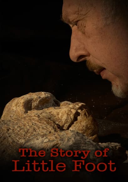The Story of Little Foot