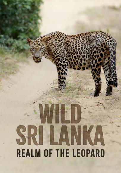 S01:E01 - Wild Sri Lanka: Realm of the Leopard