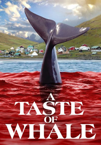 A Taste of Whale