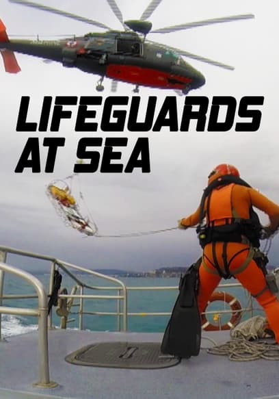 Lifeguards at Sea