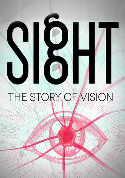 Sight: The Story of Vision
