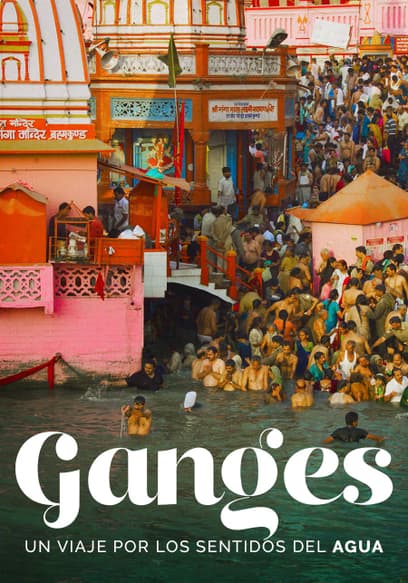 Ganges Un Viaje Por Los Sentidos Del Agua