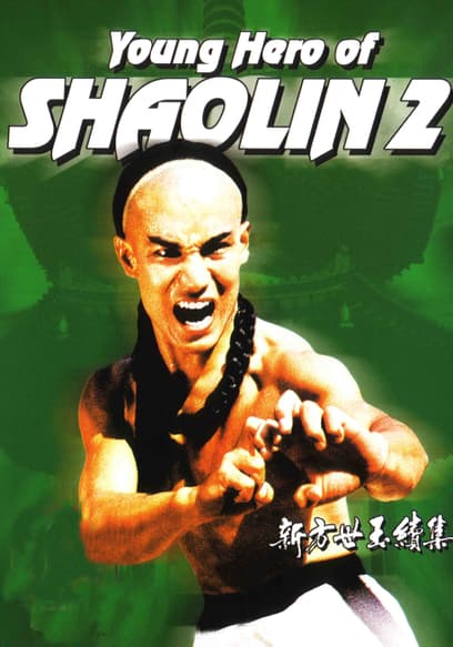 Young Hero of Shaolin 2