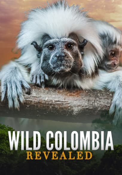 Wild Colombia Revealed
