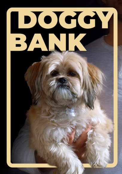 Doggy Bank