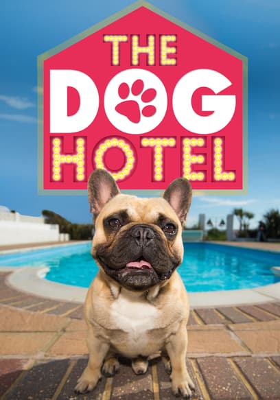 Watch The Dog Hotel - Free TV Shows | Tubi