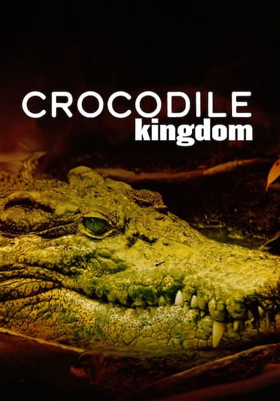 Crocodile Kingdom