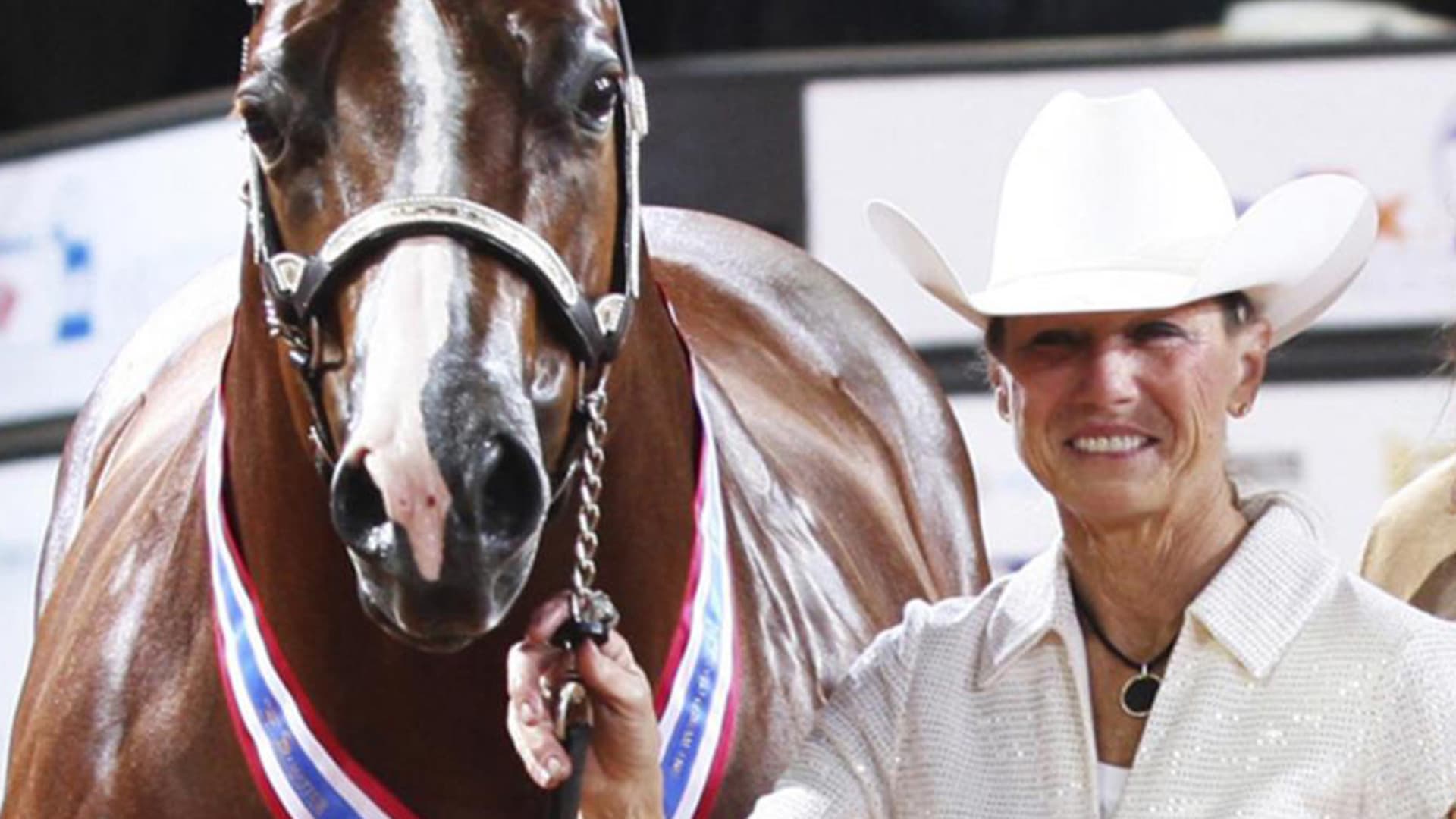 Watch all the queen's horses online free sales