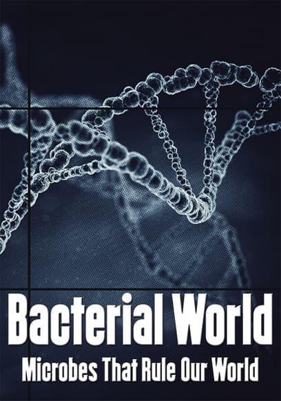 Bacterial World: Microbes That Rule Our World