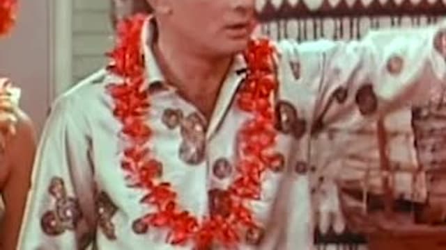 S03:E21 - Joey and Buddy Hackett Have a Luau