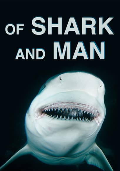 Of Shark and Man
