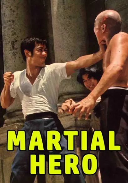 Martial Hero