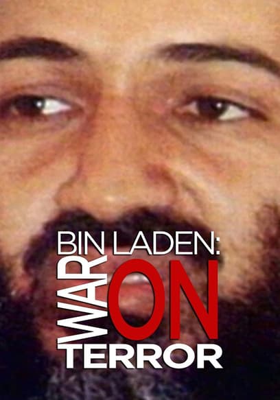 Bin Laden: War on Terror