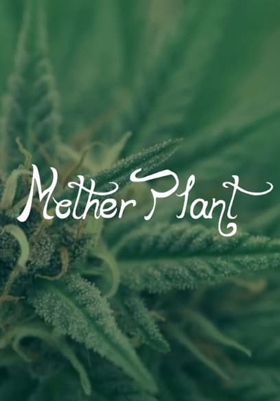 Mother Plant