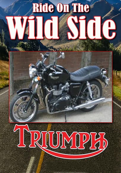Ride on the Wild Side: Harley Davidson