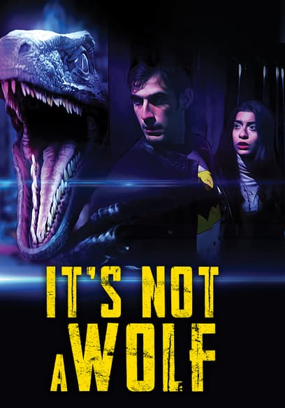 It's Not a Wolf