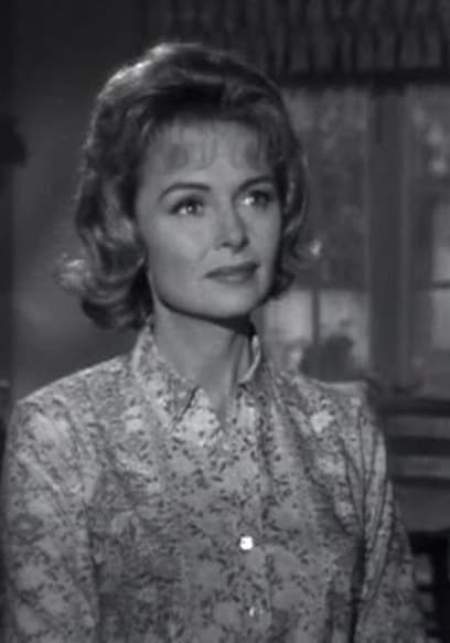 Watch The Donna Reed Show S04:E09 - The Electrical S - Free TV Shows | Tubi