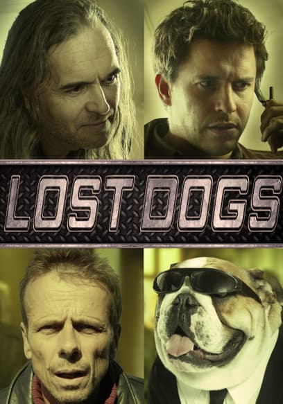 Lost Dogs