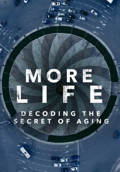 More Life: Decoding the Secret of Aging