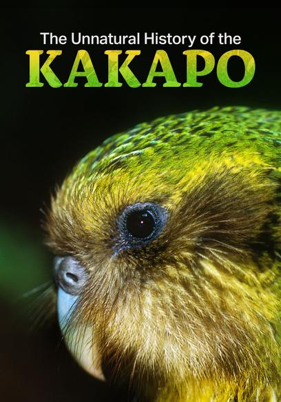 The Unnatural History of the Kakapo